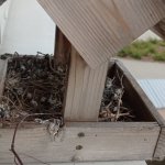 phoca_thumb_m_006 8 Fotogalerie